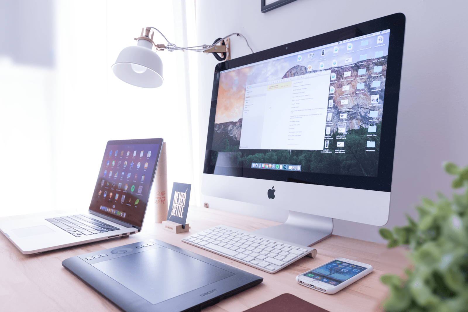A creator reviewing newsletter metrics and sponsorship planning